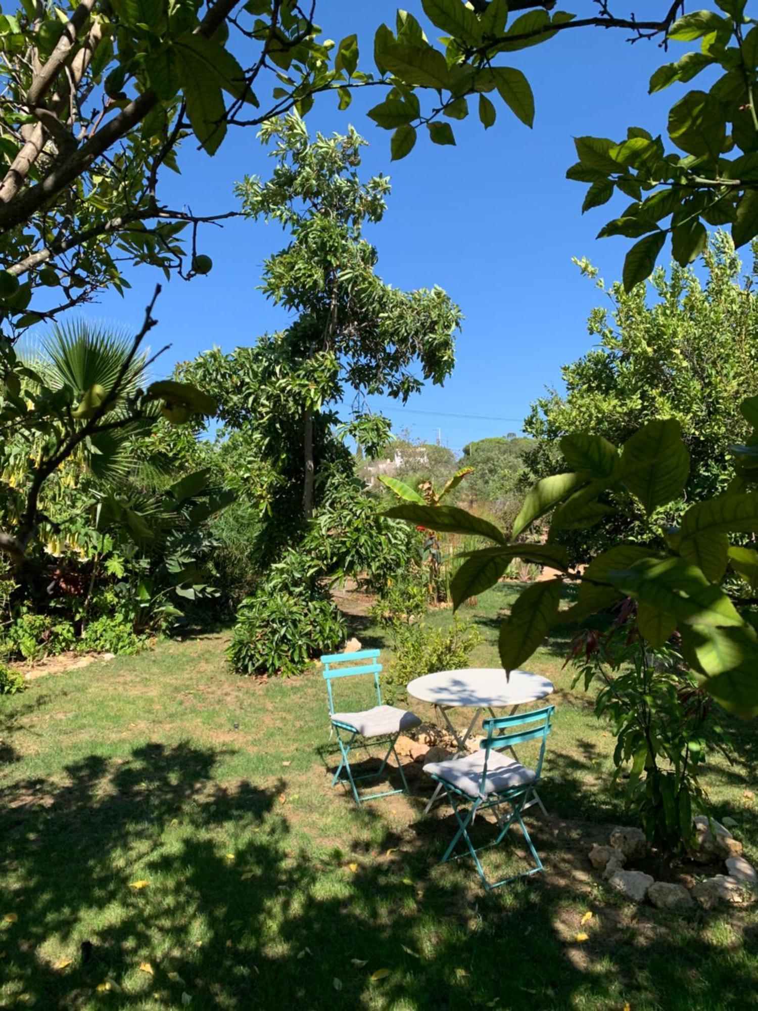 A Tranquil Garden Apartment, Carvoeiro - Benagil Kültér fotó