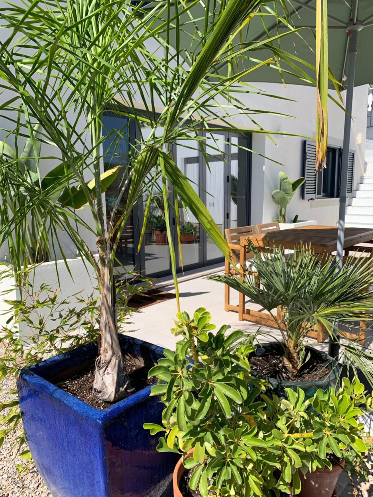 A Tranquil Garden Apartment, Carvoeiro - Benagil Kültér fotó